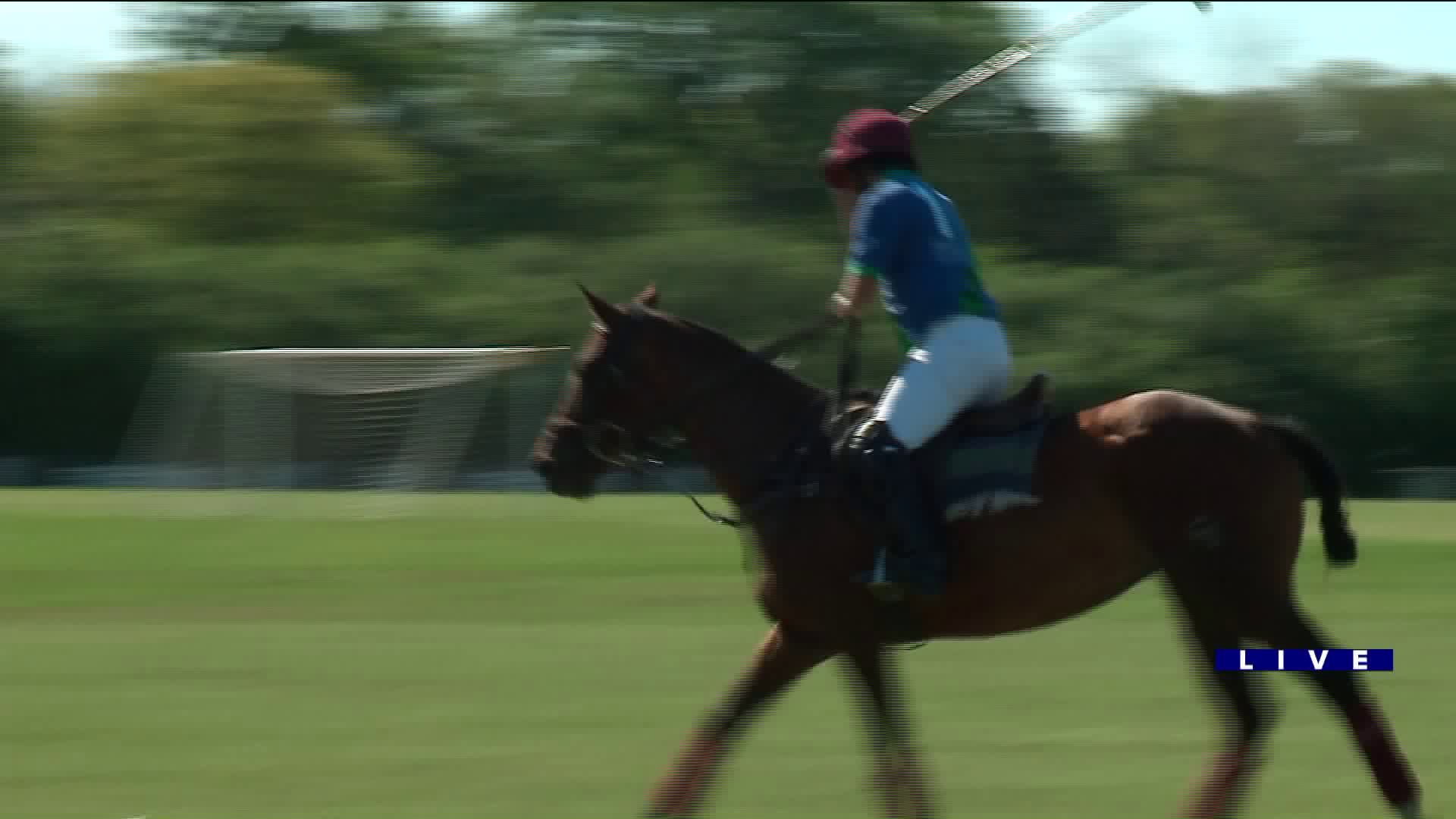 Ana gets takes a crack at Polo