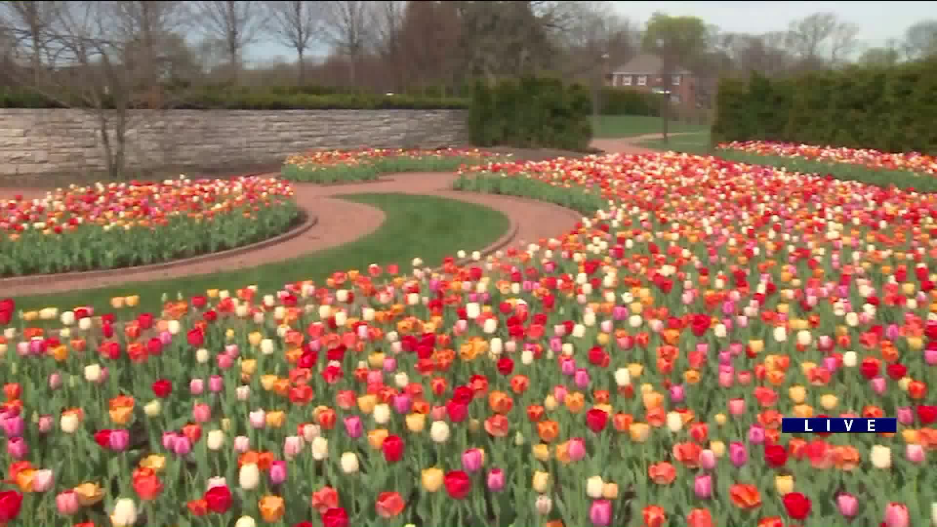 Around Town checks out the McCormick Museum at Cantigny Park