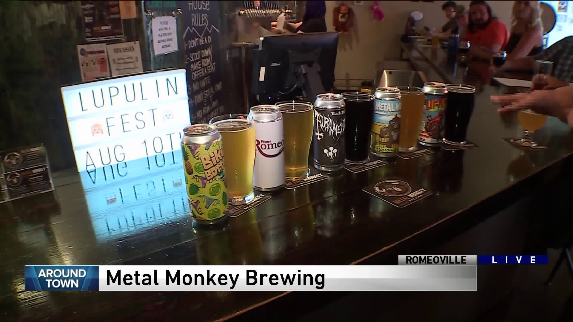 Around Town stops by Metal Monkey Brewing on International Beer Day