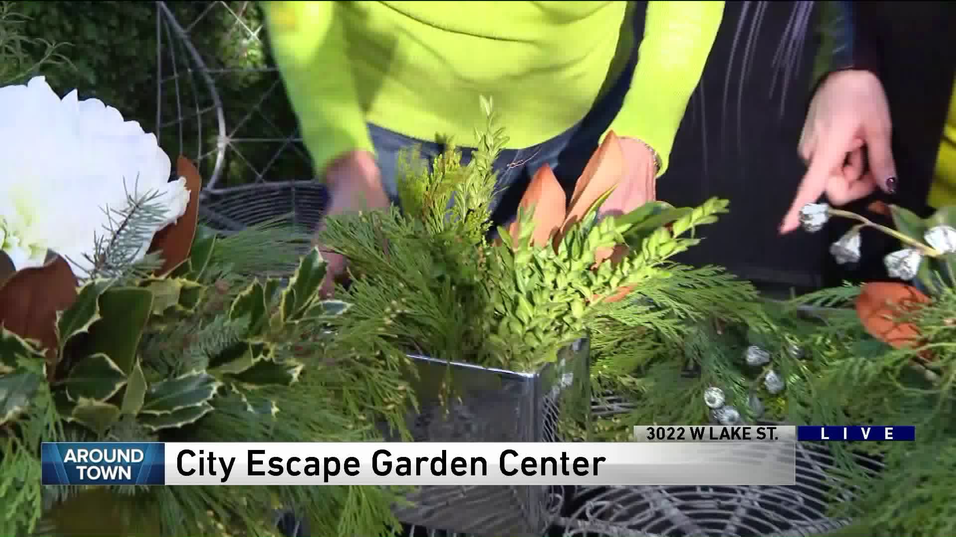 Around Town checks out City Escape Garden Center + Design Studio