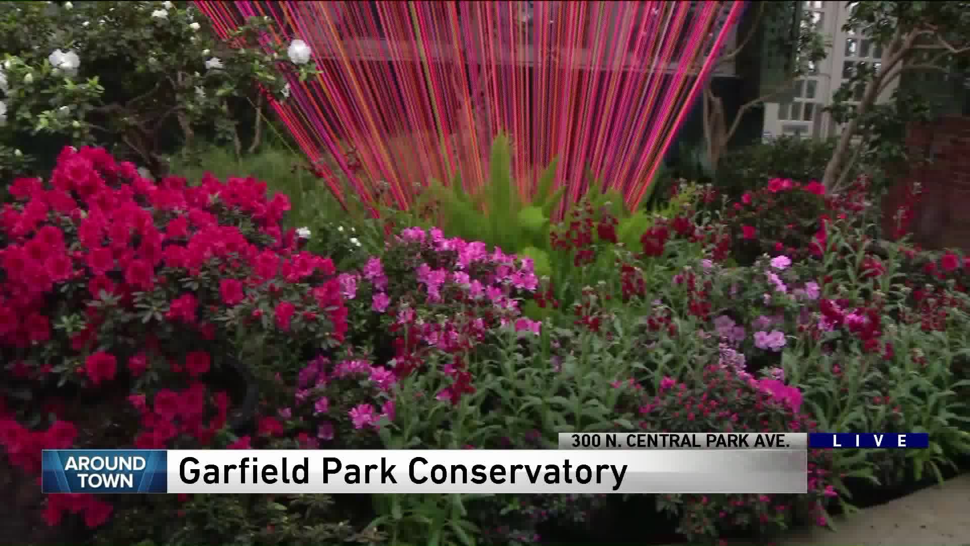 Around Town visits Garfield Park Conservatory