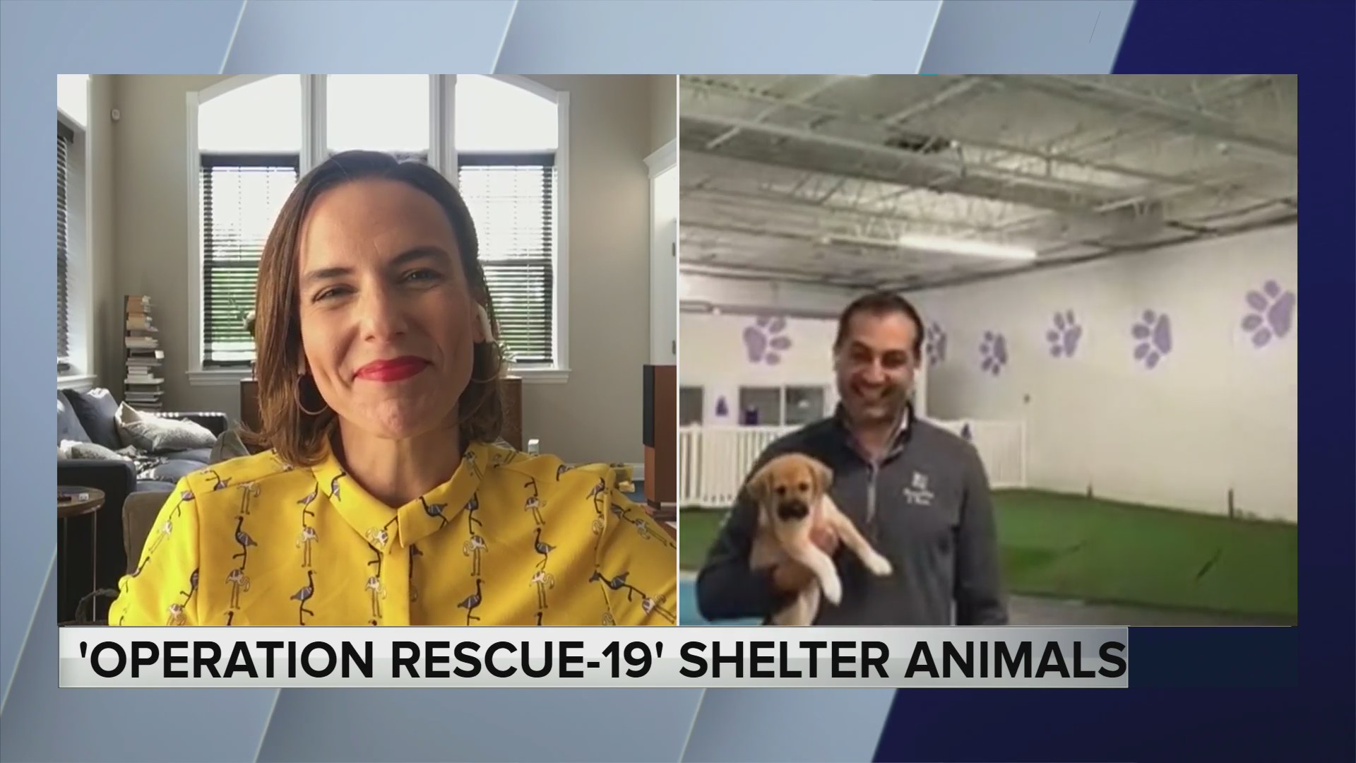 Around ‘The House’ talks all about National Rescue Dog Day