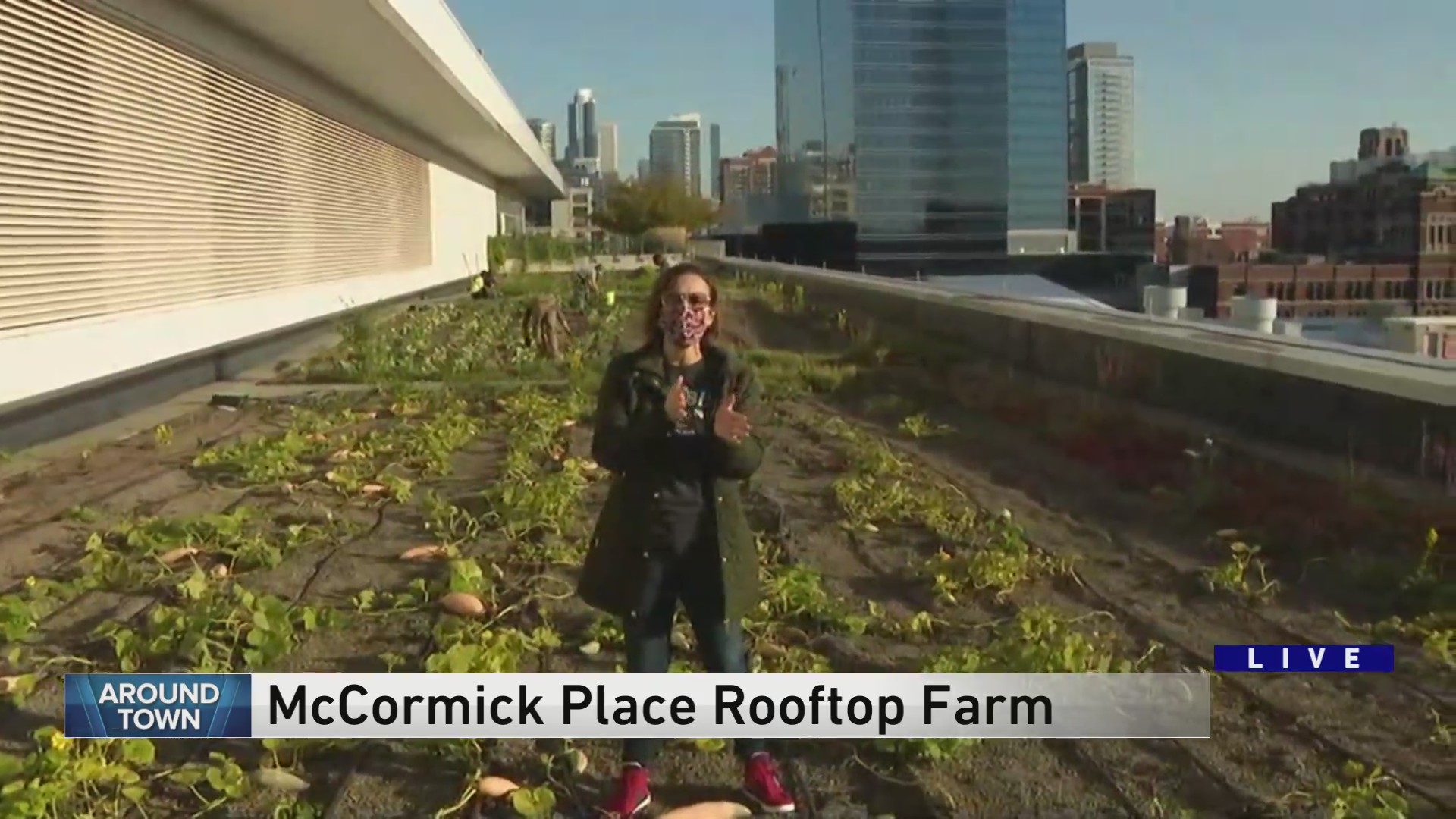 Around Town checks out the rooftop farm at the McCormick Place