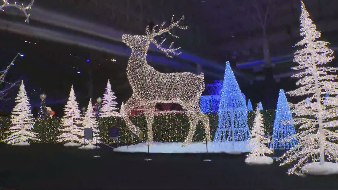 Around Town visits ‘Light Up The Lake’ at Navy Pier