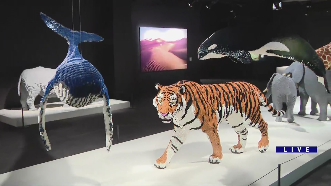 Around Town checks out ‘The Art of The Brick’ exhibit at Museum of Science and Industry