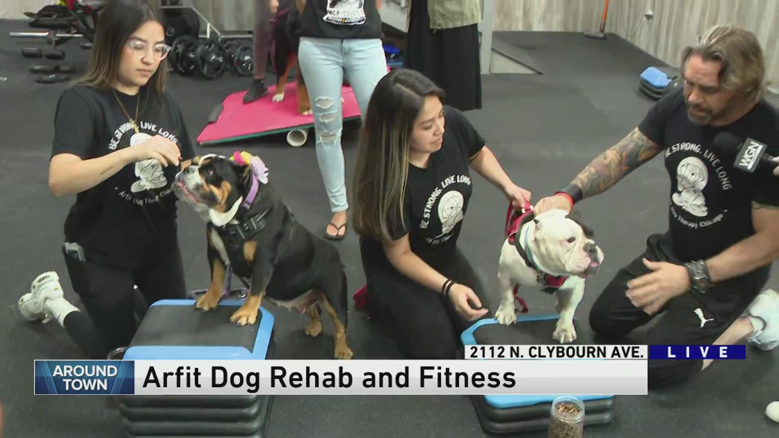 Around Town checks out Arfit Dog Rehab and Fitness