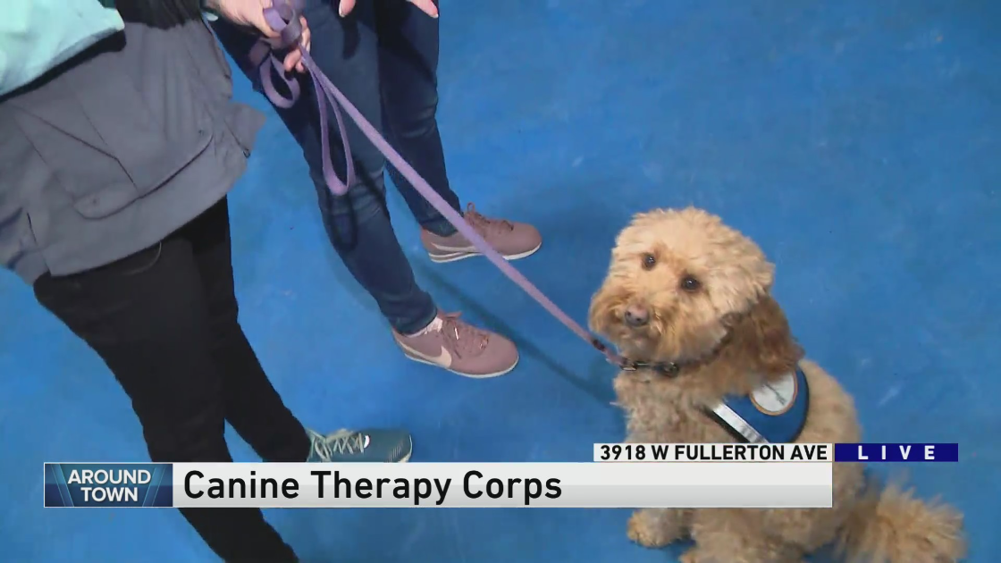 Around Town checks out Canine Therapy Corps