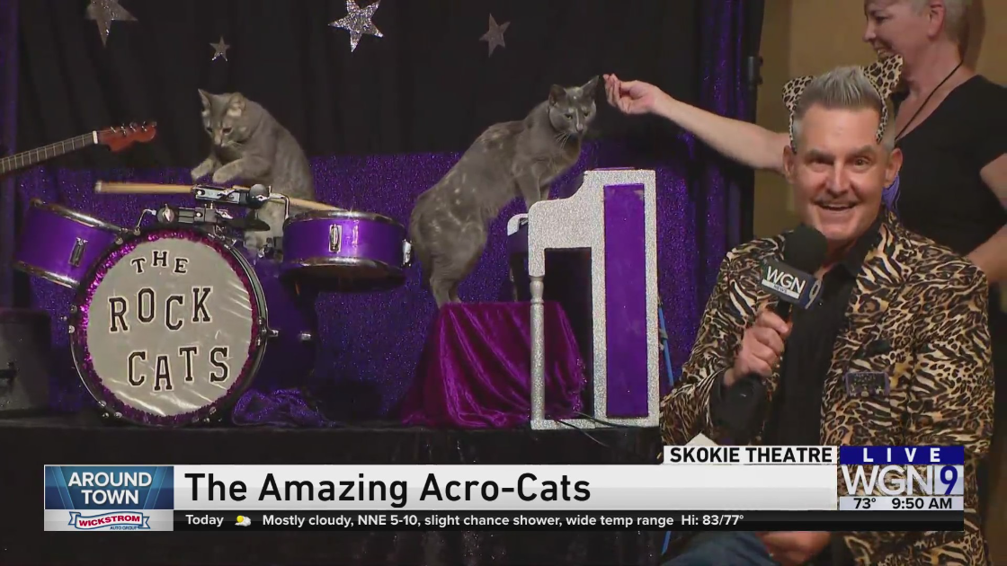 Around Town rocks out with The Amazing Acro-Cats