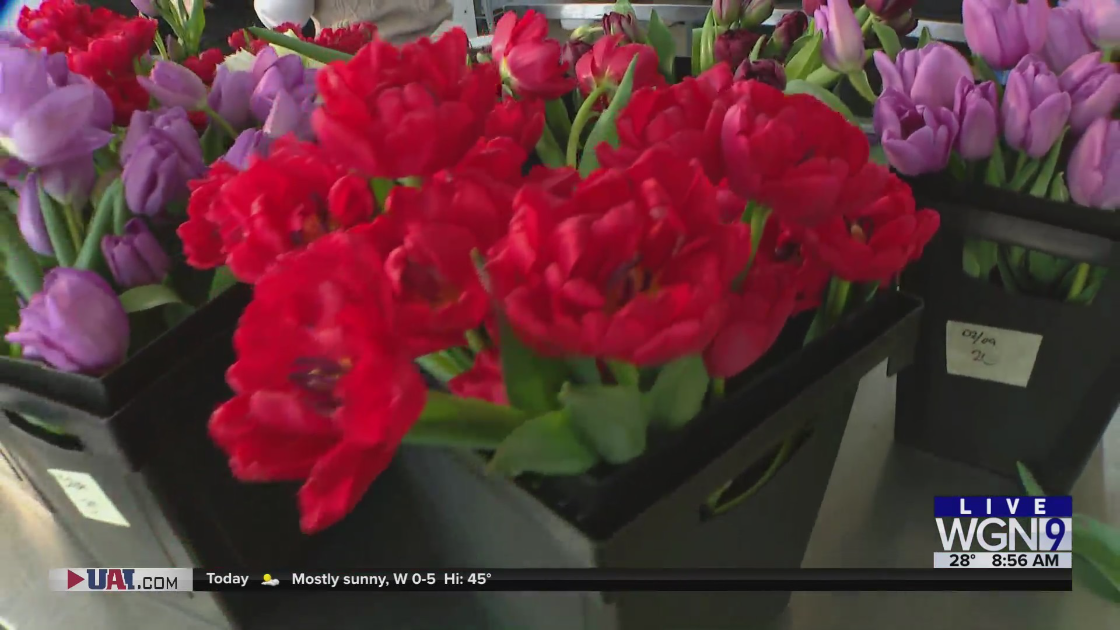 Around Town checks out Southside Blooms Flower Shop